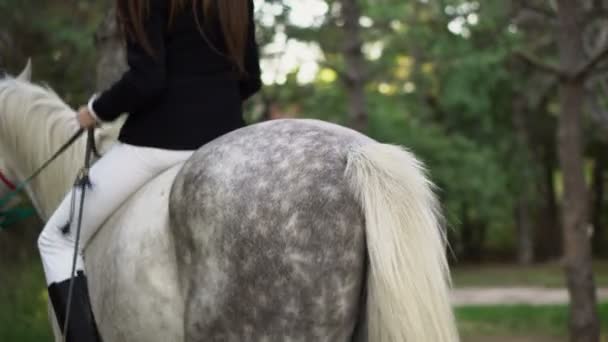 Jovem morena brincadeira menina pulando para baixo do cavalo no parque — Vídeo de Stock
