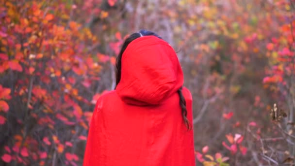 Joven hermosa bruja morena con capa roja en el bosque místico de otoño . — Vídeos de Stock