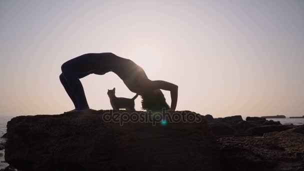 Jonge vrouw in Romper beoefenen van yoga met kat op het strand boven zee bij fantastische zonsopgang. Fitness, sport, yoga en gezonde levensstijl concept. Meisje doet een brug, — Stockvideo