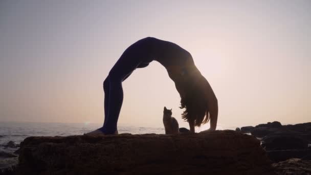 Jovem mulher em bodysuit praticando ioga com gato na praia acima do mar ao nascer do sol incrível. Fitness, esporte, ioga e conceito de estilo de vida saudável. Menina fazendo uma ponte , — Vídeo de Stock