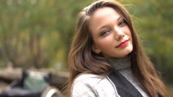 Attractive girl on a wheelchair sitting on stone in the autumn park. Disabled leisure — Stock Video