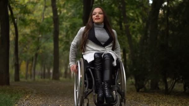 Attractive girl on a wheelchair walking in the autumn park. Disabled leisure — Stock Video
