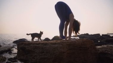 Genç kadın pratik yoga ile kedi sahilde deniz üzerinde şaşırtıcı güneş doğarken giyerlerdi. Fitness, spor, yoga ve sağlıklı yaşam konsepti. Bir köprü yaparken kız,