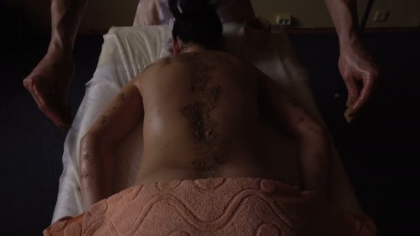 Conceito de massagem Ayurveda. Mulher bonita reciving relxing Massagem de massagista profissional, com especiarias nas costas — Vídeo de Stock