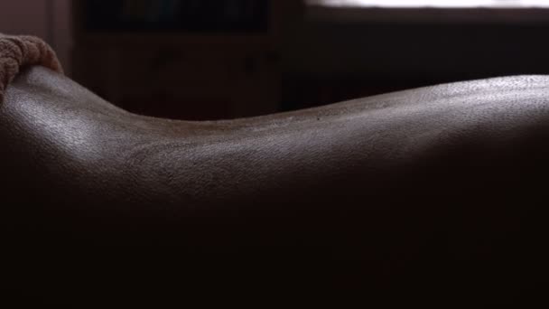 Аюрведа Массаж концепция. Красивая молодая женщина, получающая расслабляющий массаж спины от профессионального массажиста, массаж Абьянги . — стоковое видео