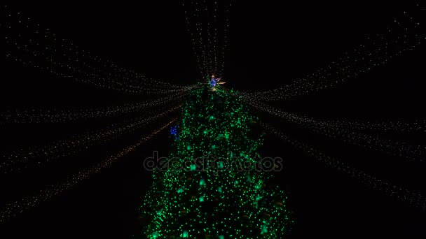 Óriási karácsonyfa izzó éjszaka. Karácsonyfa füzér. Karácsonyi ünnep. — Stock videók