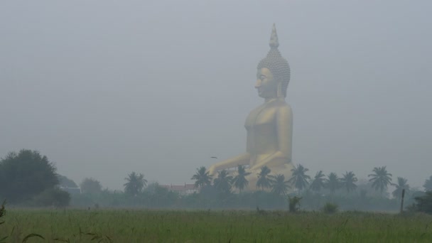 La plus grande statue de Bouddha à Wat Muang le matin, Ang Thong, Thaïlande — Video