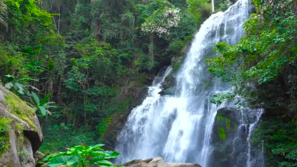 ジャングルの美しいカスケード滝。ドイ インタノン国立公園、チェンマイ地域、タイ、ループすることができます。 — ストック動画