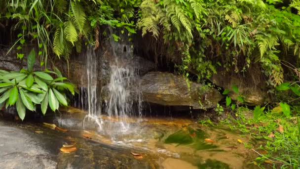 Fragment Kaskada wodospadu w Doi inthanon National Park, regionie Chiang Mai, Tajlandia, stanie w pętli — Wideo stockowe