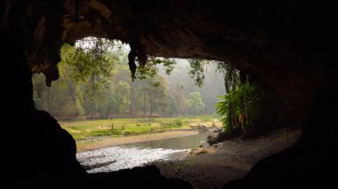 Büyük sabah giriş, büyük mağara Nehri akan ile yakınındaki ondan Tham Lod mağarada Kuzey Tayland at tropik ormanlarda Pai bölge, Chiang Mai uçan kırlangıç Kuşlar sürüsü.