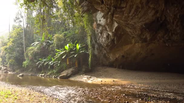 Pai 地域、チェンマイ タム Lod の洞窟の北のタイの熱帯ジャングルの中でそれからの川が流れる大きな洞窟の入り口で太陽ビーム飛んでツバメ鳥の巨大な群れ. — ストック動画