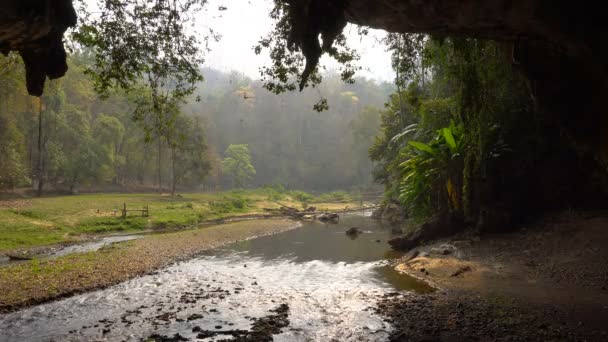 Stor Flock av sväljer fåglar flyga på morgonen nära den ingången av stora grottan med floden flyter från det i tropiska djungler på det norra Thailand, i Tham Lod Cave, Pai regionen, Chiang Mai. — Stockvideo