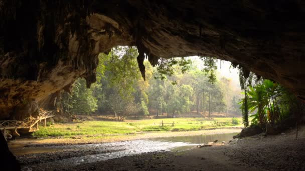 Stor Flock av sväljer fåglar flyga på morgonen nära den ingången av stora grottan med floden flyter från det i tropiska djungler på det norra Thailand, i Tham Lod Cave, Pai regionen, Chiang Mai. — Stockvideo