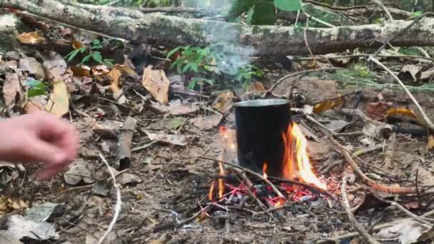 Mãos de homem selvagem caucasiano queimando pequena fogueira na floresta tropical no crepúsculo para ferver chaleira com arroz para o jantar . — Vídeo de Stock