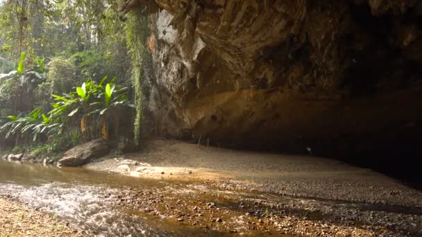 Enorme bandada de golondrinas que vuelan por la mañana cerca de la entrada de la gran cueva con el río que fluye de ella en las selvas tropicales en el norte de Tailandia, en la cueva de Tham Lod, región de Pai, Chiang Mai . — Vídeos de Stock