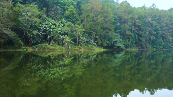 Nadelwald mit Palmen spiegelt sich im ruhigen Wasser des Hochlandsees in Südthailand, Region Mae Hong Son. — Stockvideo