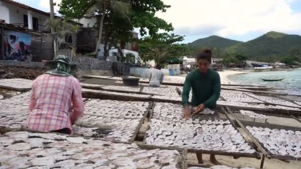 Samui, Thailand, 5 mars 2018: lokala thailändska människor sprida bläckfiskar på nätet för torkning. Produktion av torrt skaldjur i Samui, Thailand. — Stockvideo