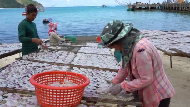 SAMUI, THAILAND, 5 de março de 2018: Pessoas tailandesas locais espalhando lulas na rede para secagem. Produção de frutos do mar secos em Samui, Tailândia . — Vídeo de Stock