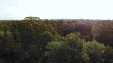 Paris 'in Havadan Açılışı Eyfel Kulesi ile birlikte sabah Boulogne Ormanı' ndaki ağaçların taçlarından yükseliyor.