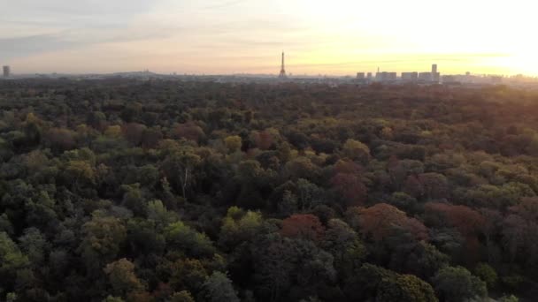 Vista aérea de Paris skyline com Torre Eiffel da Floresta Boulogne com aves voadoras ao nascer do sol da manhã — Vídeo de Stock