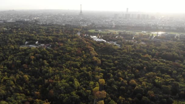 Aerial view of Paris skyline with Eiffel Tower from the side of Boulogne Forest with a curvy forest road at rising morning sun