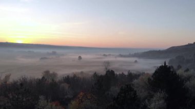 Gölün kıyısındaki sisli bir ormanda güneşin doğuşunun hava görüntüsü..