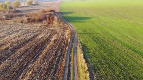 AERIAL Flying above boys riding bicycle on rutted road past fields in the countryside. Golden hour. — Stock Video