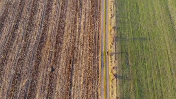 AERIAL Flying above boys riding bicycle on rutted road past fields in the countryside. Golden hour. — Stock Video