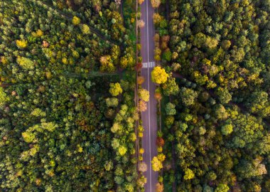 Hava, Yukarı Aşağı: güneşli bir yaz gününde engin ormanı geçen bir asfalt yol. Boulogne Ormanı