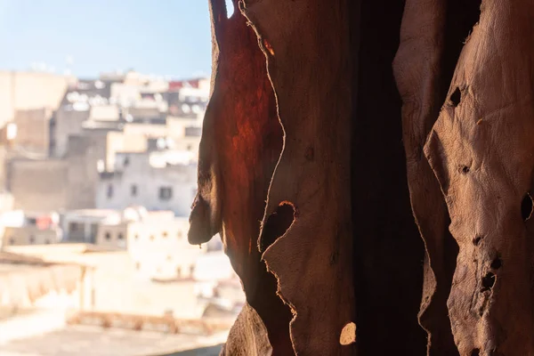 Δέρματα αιγών που χρησιμοποιούνται για την παραδοσιακή ξήρανση της παραγωγής δέρματος σε μπαρ στο βυρσοδεψείο Chouara, Φεζ, Μαρόκο — Φωτογραφία Αρχείου