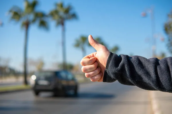 Ruka člověka s palcem nahoru stopem na silnici s palmami — Stock fotografie