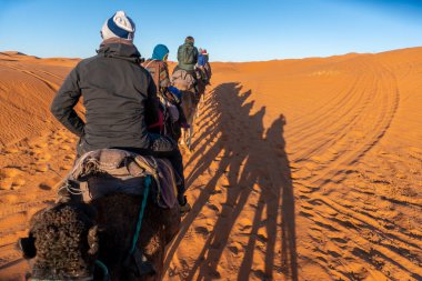 Sahra Çölü, Fas 'taki Camel karavan turuna katılıyor.