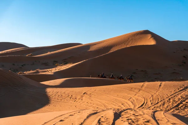 Caravan in Zandduinen van Erg Chebbi in de Sahara woestijn, Marokko — Stockfoto