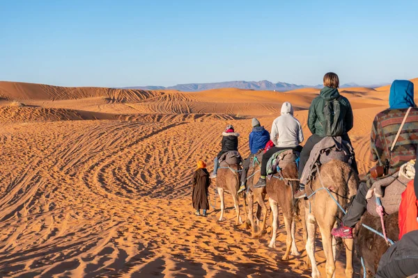 Sahra Çölü, Fas 'taki Camel karavan turuna katılıyor.