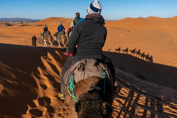 Participando do passeio de caravana de camelo no deserto do Saara, Marrocos — Fotografia de Stock