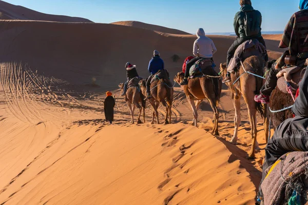 Deelnemen aan Camel caravan tour in Sahara woestijn, Marokko — Stockfoto