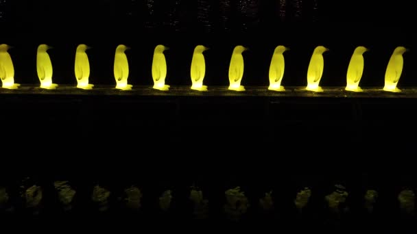 Modern Glödande konst konstruktion i Prag. Citron-färg rå av pingviner reflekterar i vatten på natten — Stockvideo