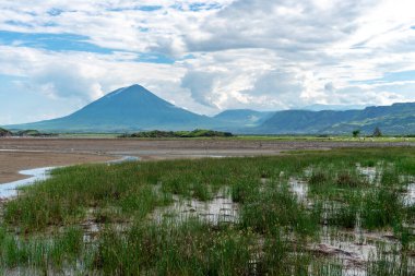 Pink lesser Flamingos at Lake Natron with Ol Doinyo Lengai volcano on background in Rift valley, Tanzania