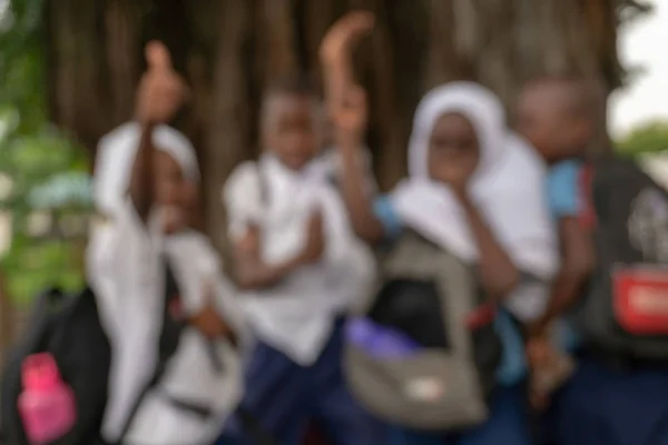 Odaklanamayan Tanzanyalı okul çocukları okuldan sonra arka planda büyük banyan liana ağacı olan bir balık ağına poz veriyorlar. — Stok fotoğraf