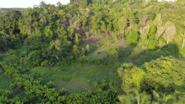 Zanzibar takımadalarındaki Pemba adasındaki tarımsal tarlaların hava görüntüleri. Tepelerdeki yemyeşil orman ormanı ve tropik adalardaki kanatlar