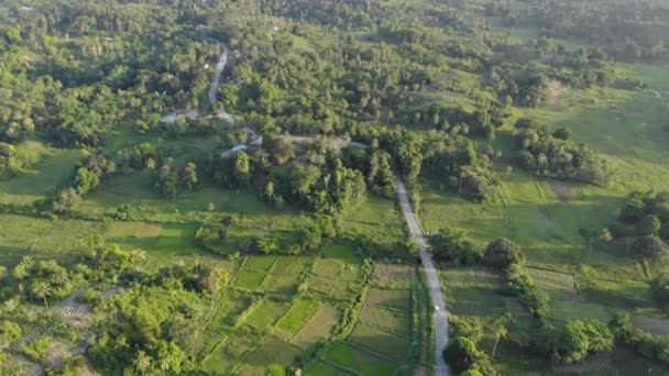 Letecký snímek argikulturních polí na ostrově Pemba, souostroví Zanzibar. Bujný džungle les na kopcích a klapky na polích na tropickém ostrově — Stock video