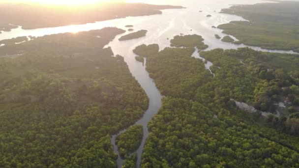 Flygfoto av floden delta vid Zanzibar skärgård, Chake Chake, den största staden på ön Pemba — Stockvideo