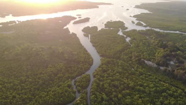 Foto aérea del delta del río en el Archipiélago Zanzibar, Chake Chake, la ciudad más grande de la isla de Pemba. — Vídeo de stock