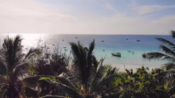 Hava görüntüsü tropikal plajın palmiyelerinden ahşap balıkçı tekneleri, Zanzibar adası Kuzey, Kendwa plajı — Stok video