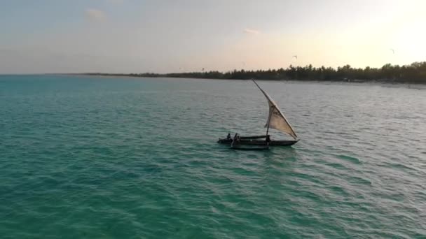 Tradizionale barca a vela africana a Zanzibar isola di Paje spiaggia in blu Oceano Indiano vista aerea. Unguja, tanzania — Video Stock