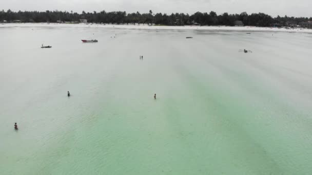 Flying by the Paradise tropical Paje beach at low tide shoal on East Zanzibar island aerial view. Tanzania, Africa — Stock Video