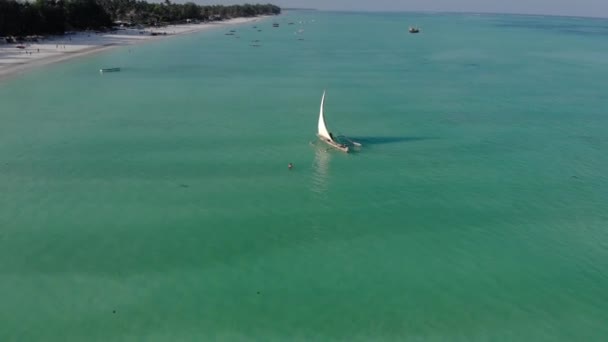 Tradizionale barca a vela africana a Zanzibar isola di Paje spiaggia in blu Oceano Indiano vista aerea. Unguja, tanzania — Video Stock