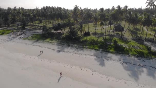 Latanie przy rajskiej tropikalnej plaży Paje na wschodnim Zanzibarze widok z lotu ptaka. Tanzania, Afryka — Wideo stockowe