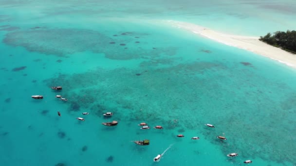 Εναέρια frone πετούν από το τροπικό παράδεισο Mnemba Island, που βρίσκεται 3 χιλιόμετρα από την ακτή της Ζανζιβάρης κύριο νησί Unguja. Η Σαρακοστή του Dhow Boats με δύτες ήρθε για ψαροντούφεκο περιοδεία — Αρχείο Βίντεο