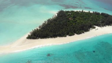Zanzibars 'ın ana adası Unguja' nın 3 km açığındaki Tropikal cennet Mnemba Adası 'nın yanından uçan hava yakutu. Dalgıçlarla dalış turu için Dhow Boats geldi.